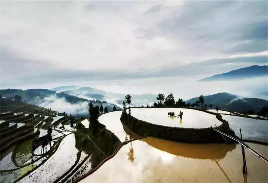 楠溪江山水画,永嘉楠溪江山水画视频