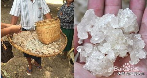 雪燕是什么做的,雪燕的最佳做法