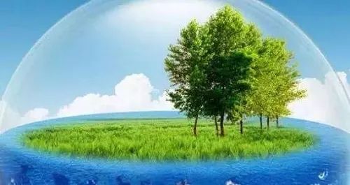 阴道不光滑的症状,外阴的不正常形态