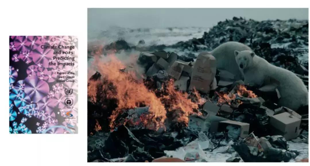 这个沙龙,错过了现场还能错过现场回顾?