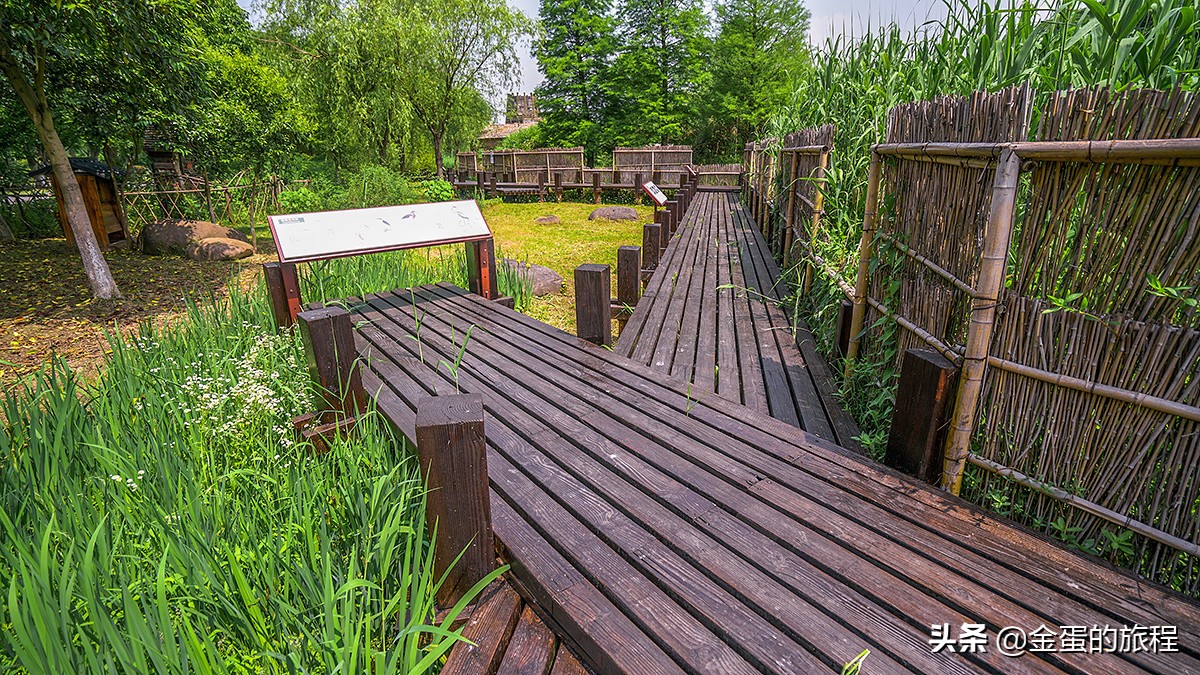 苏州旅游沙家浜,人人都知江南好下一句