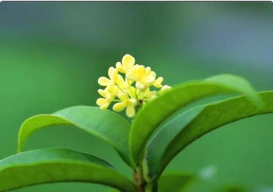 中华经典二十八个字的诗,10句诗总结一生