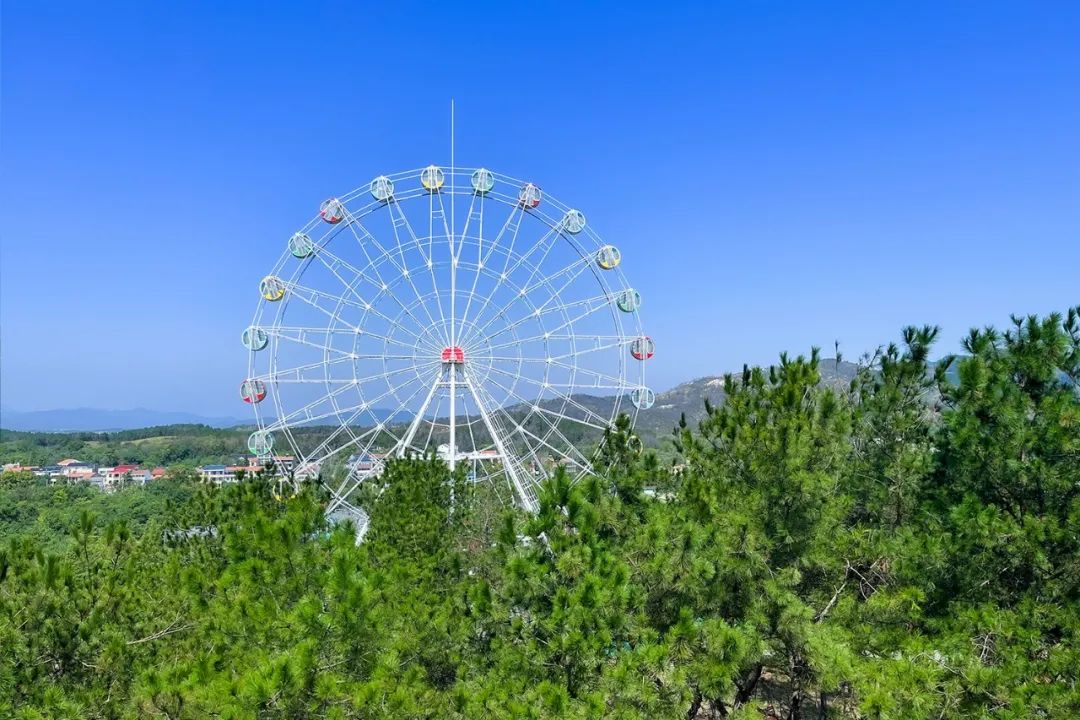 抓住春天的尾巴鸟语花香,抓住花海的尾巴