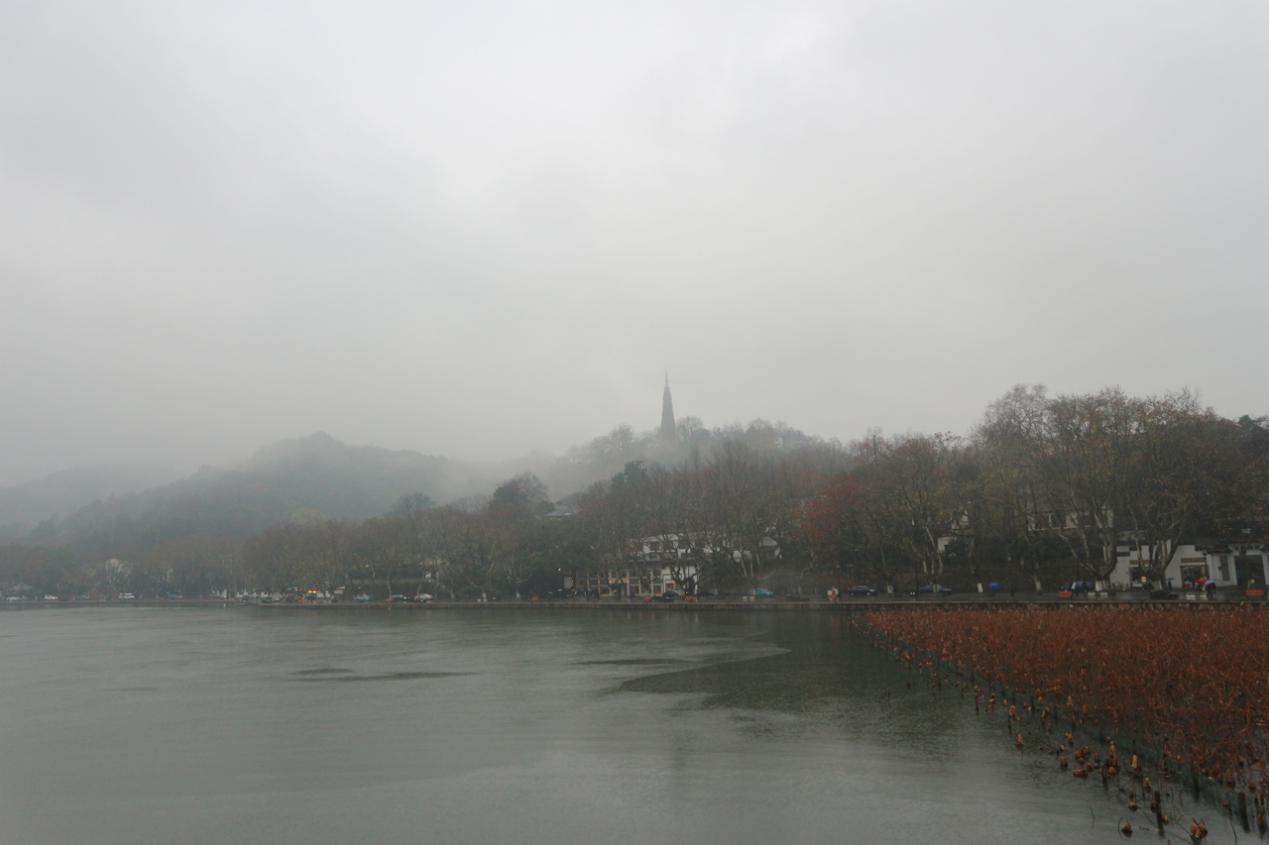 太美了古诗词怎么说,文字翻译成古诗能有多惊艳