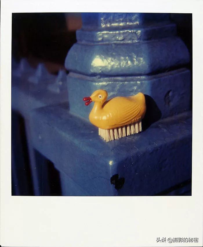 情迷宝丽来：十八年的不间断拍摄，直到死亡