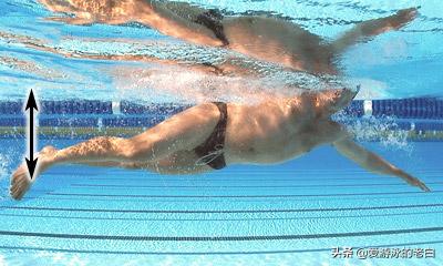 浮力衣怎么选,如何购买质量好的救生衣