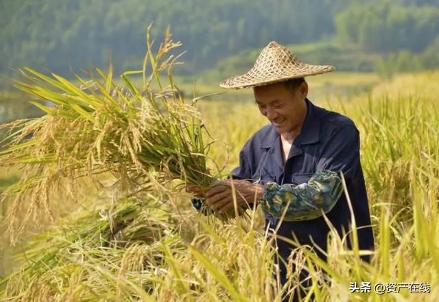 桂平莫某某,海南莫某某