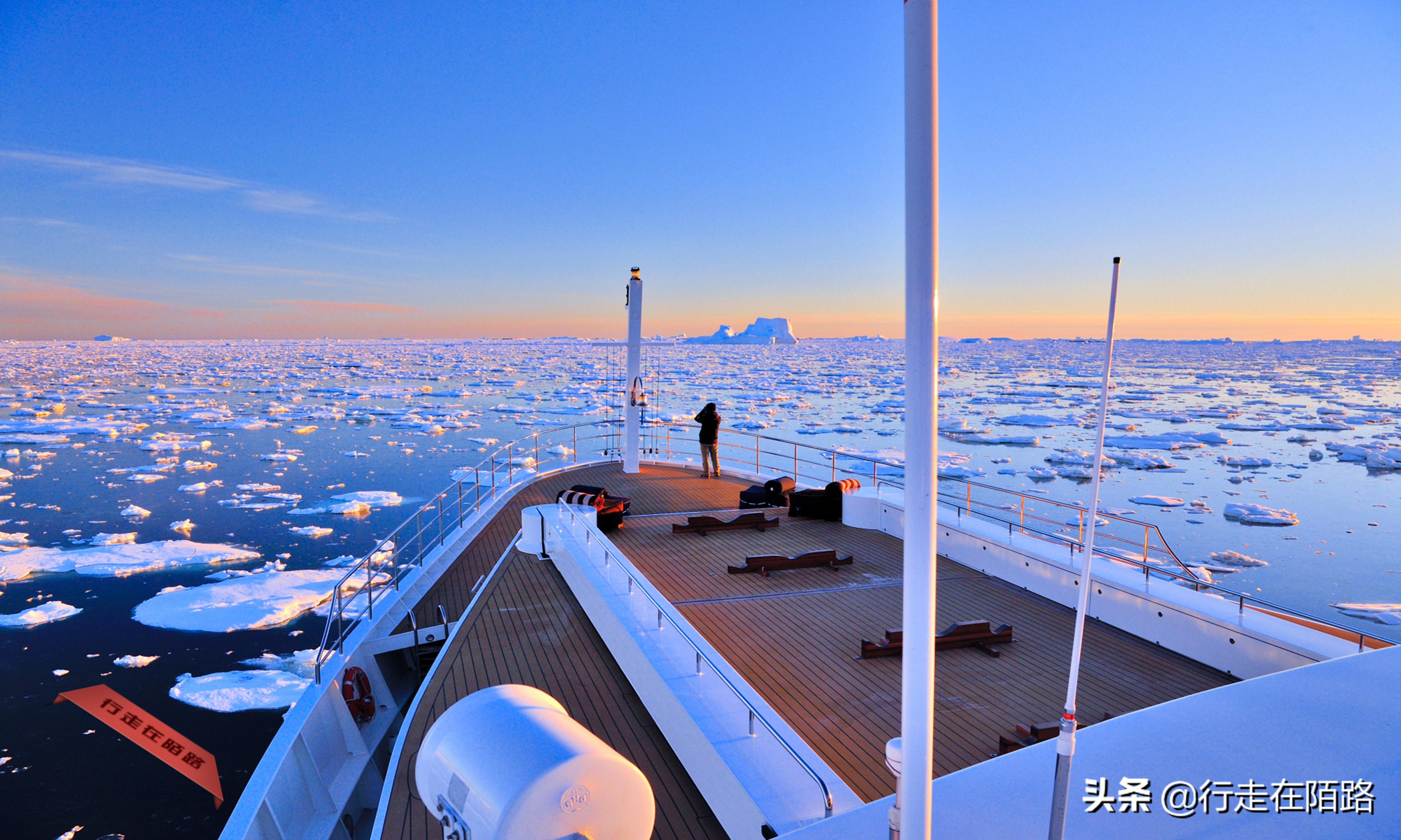 铲屎官招聘,邮局招聘吗