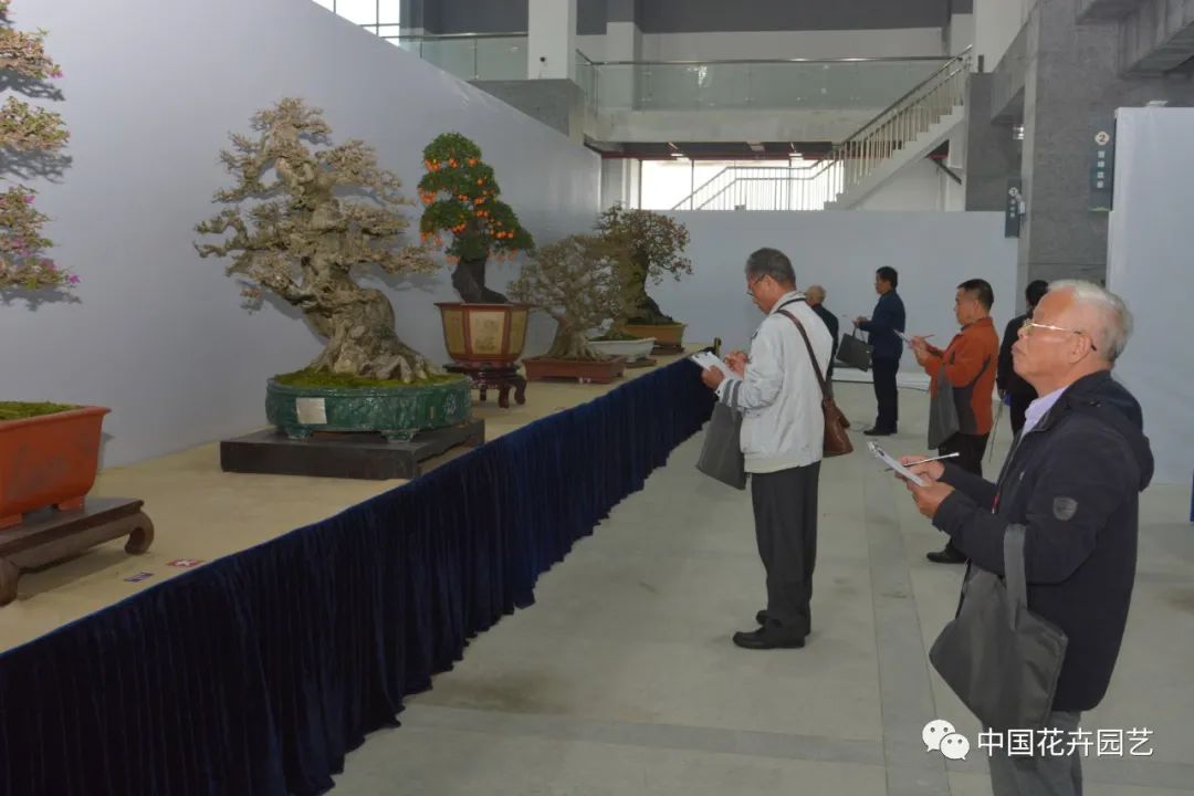 2021第三届中国盆景展,盆景展览会精品展