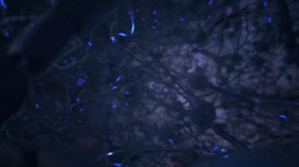 整个微信都在刷屏,微信美国最新消息