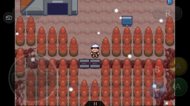 口袋妖怪之究极绿宝石攻略三周目,口袋妖怪究极绿宝石4.b攻略大全