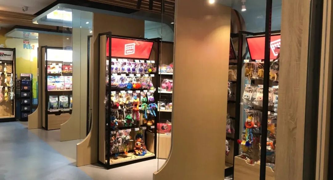 欢迎同行入内，这是一家为宠物店而开的宠物