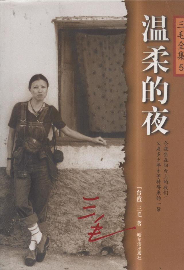 对三毛的评价和感悟,迷恋的原因