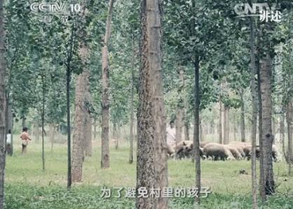 一些乡村教师的事例,乡村教师的故事