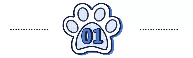 养猫狗常备药,宠物猫狗常用药