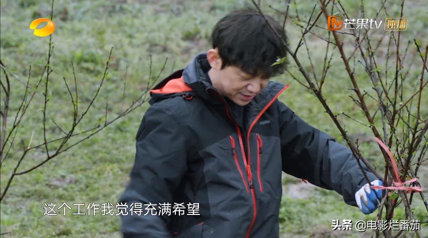 向往的生活2023会完结吗,向往的生活第七季怎么停更了