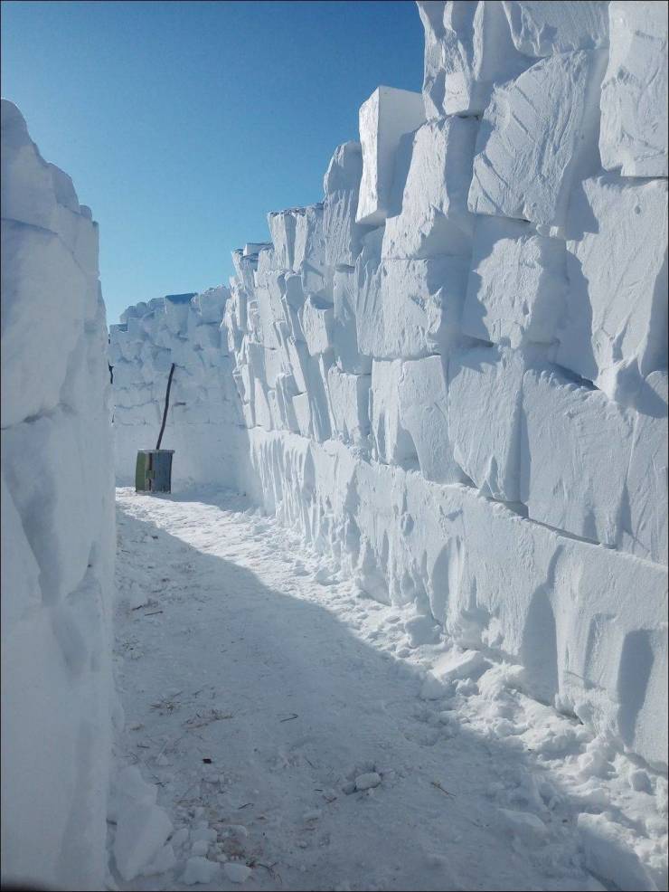 50张照片每一张都让人赞叹不已,50张让人叹为观止的照片