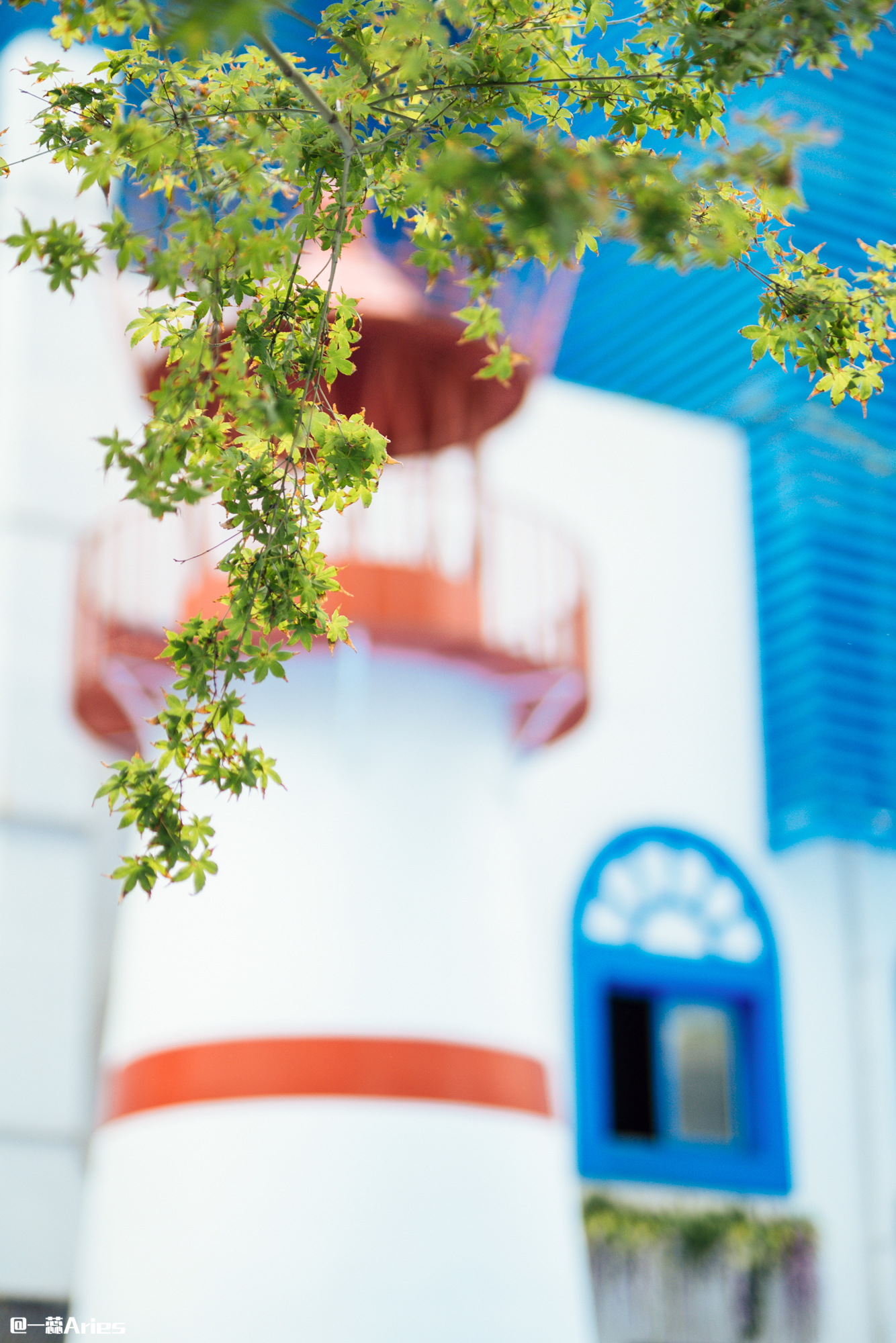 七夕约会攻略成都,520适合情侣约会的地方成都