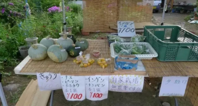 日本留学安不安全,在日本留学做代购合法吗