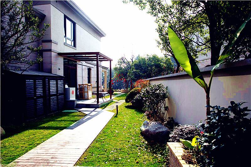 一楼蚊子特别多怎么除蚊子,一楼下水道蚊子怎么消除