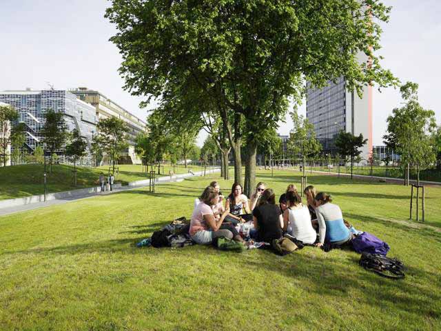 研究生什么意思网络用语,你怎么理解研究生这三个字