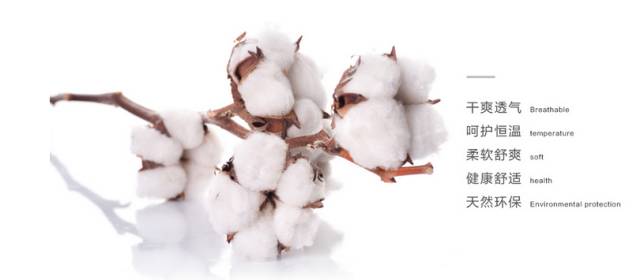 纯棉床品哪个好用又实惠,为什么要选纯棉材质的床品