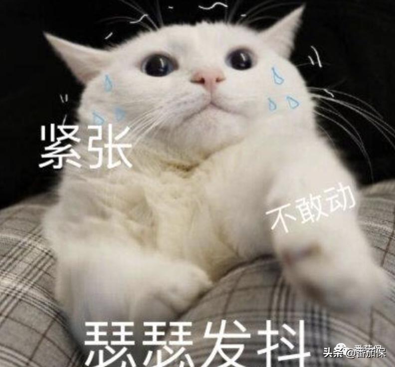 友邦如意安心重大疾病保险,友邦友如意安心版重疾险哪里投保