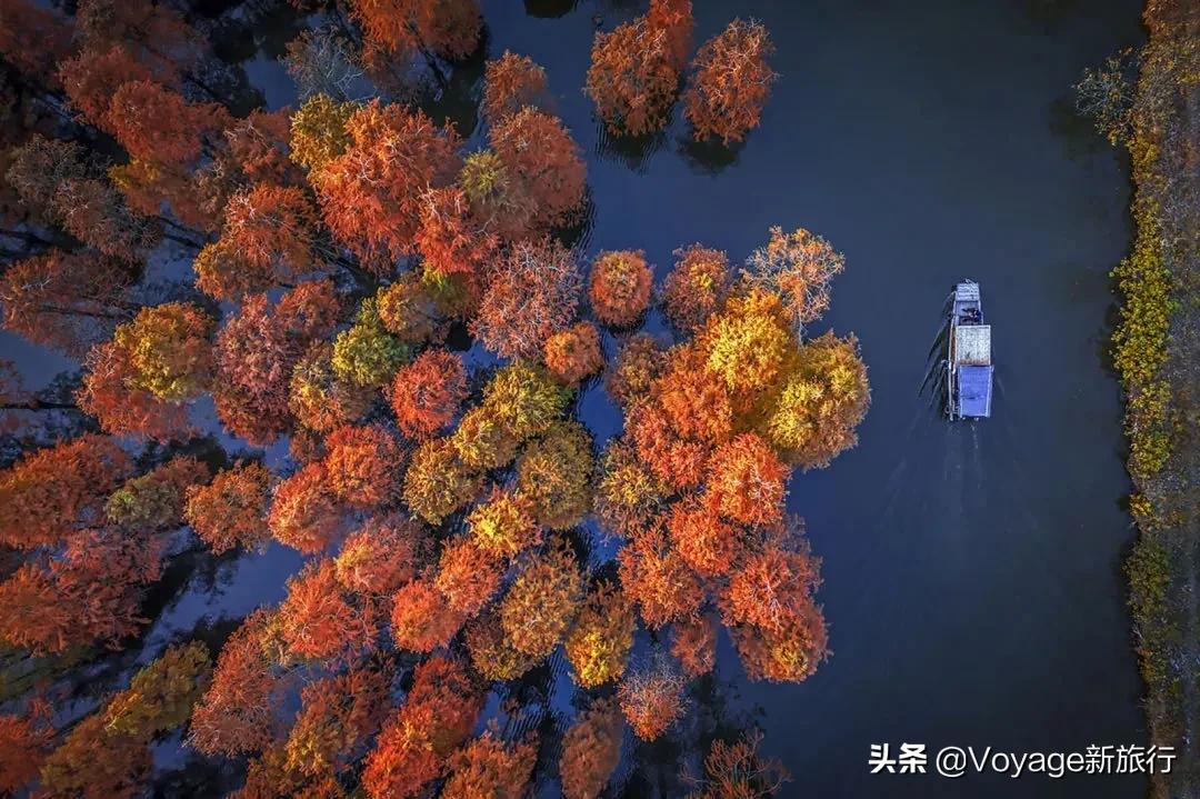 27个世界湿地日,世界湿地之都