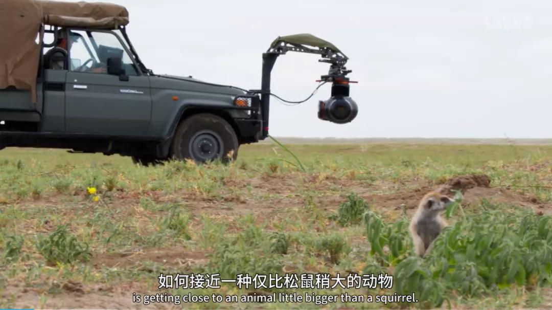 豆瓣评分9.5以上的国产电影有哪些,十部顶级神片推荐