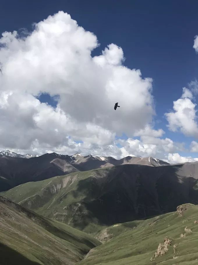 这条最“咸”最彩的公路，治好了我*藏西**的病，解掉了我*疆新**的毒