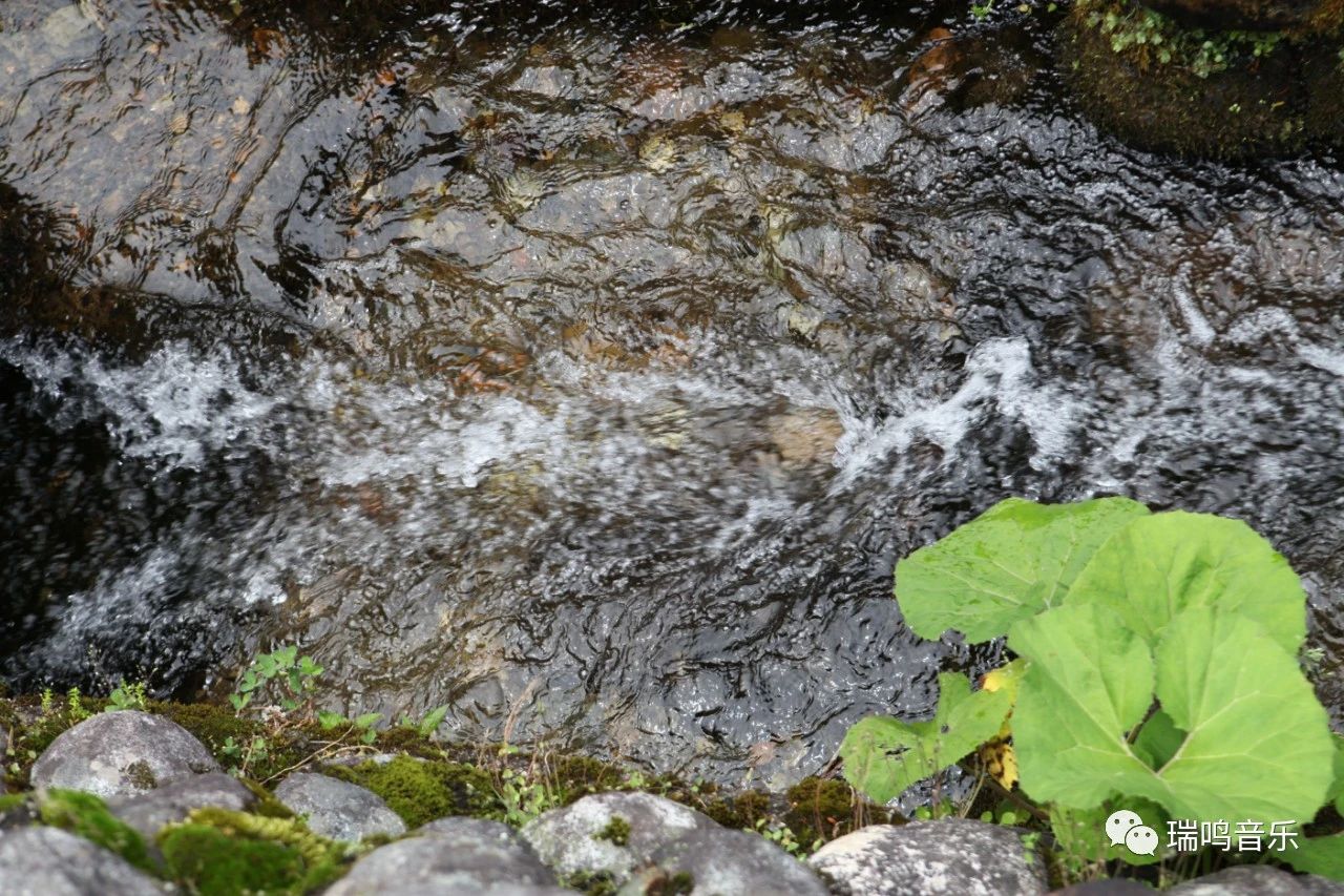 回望流年岁月,似水流光钢琴曲