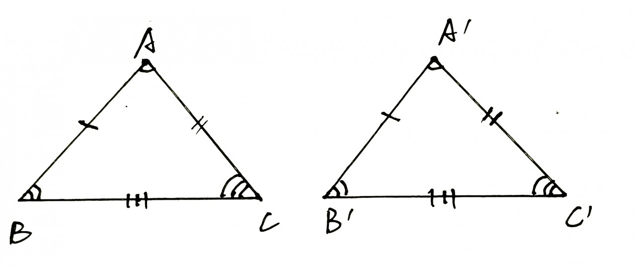 初二数学三角形知识点笔记,初中数学三角形全等知识点