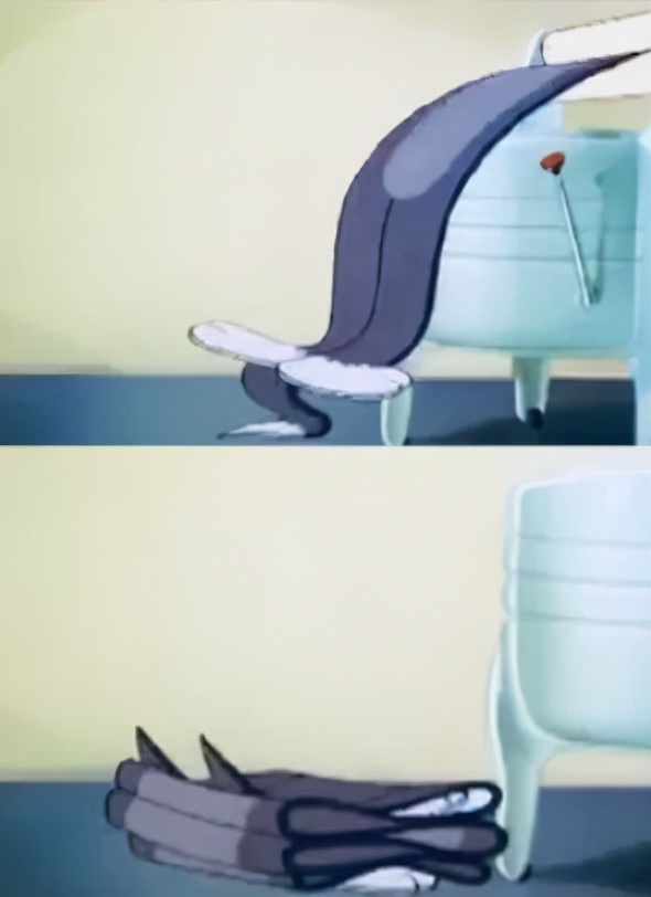 众所周知的猫咪,猫咪是液体也是固体