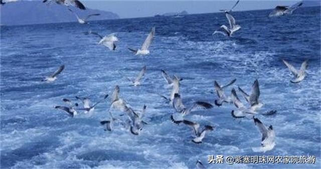 长岛好渔家,长岛当地渔家特色美食餐饮攻略