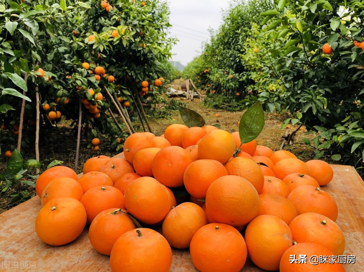 买沃柑橘子,买沃柑是硬的好还是软的好