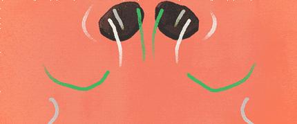 鼻塞有个鼻孔一直不通气怎么办,鼻塞两个鼻孔轮流堵塞不通气