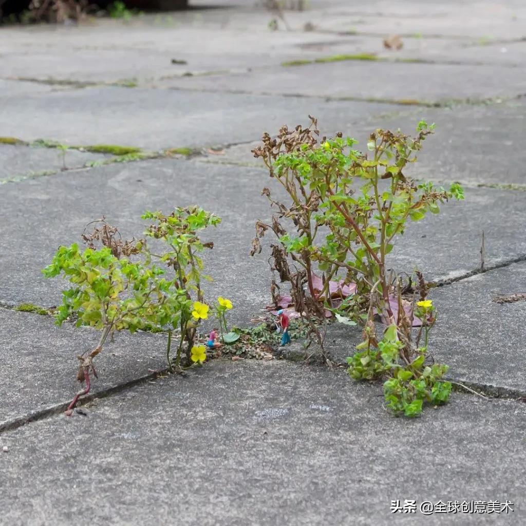 Blink,U’llmissit|小人国居民现身地球