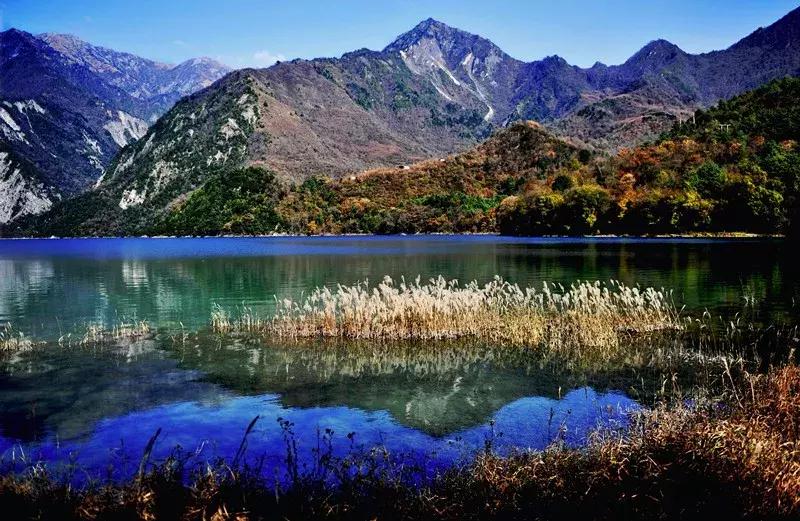 澶х編鏂囧幙,澶х編鐢樿們鏂囧幙