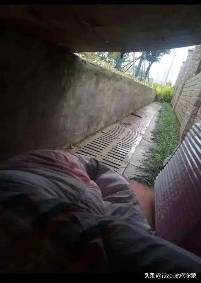 不要问我过得好不好原唱,不要问我最近过得怎么样网图