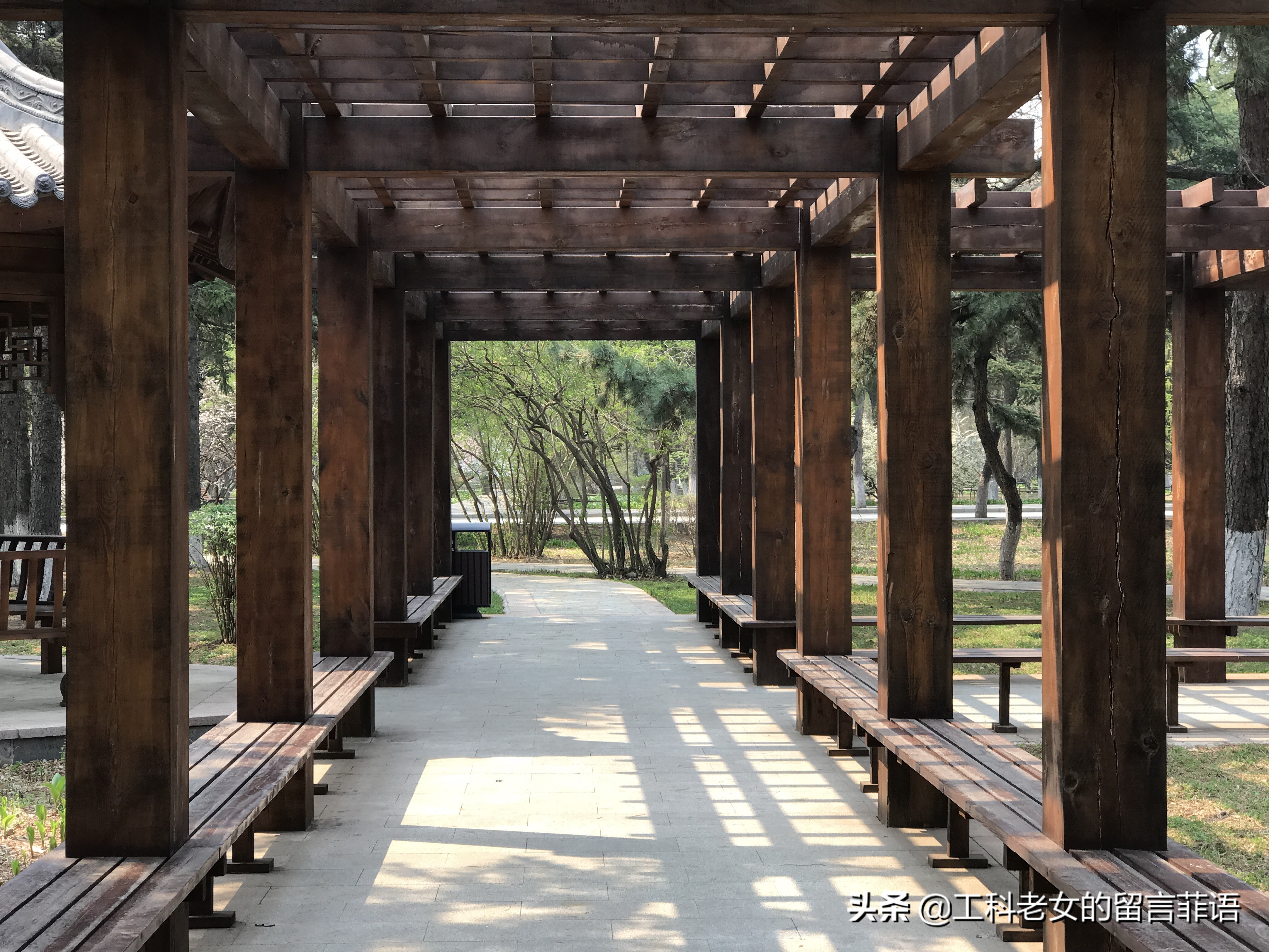 带你领略自然美,带你领略春天独有的浪漫