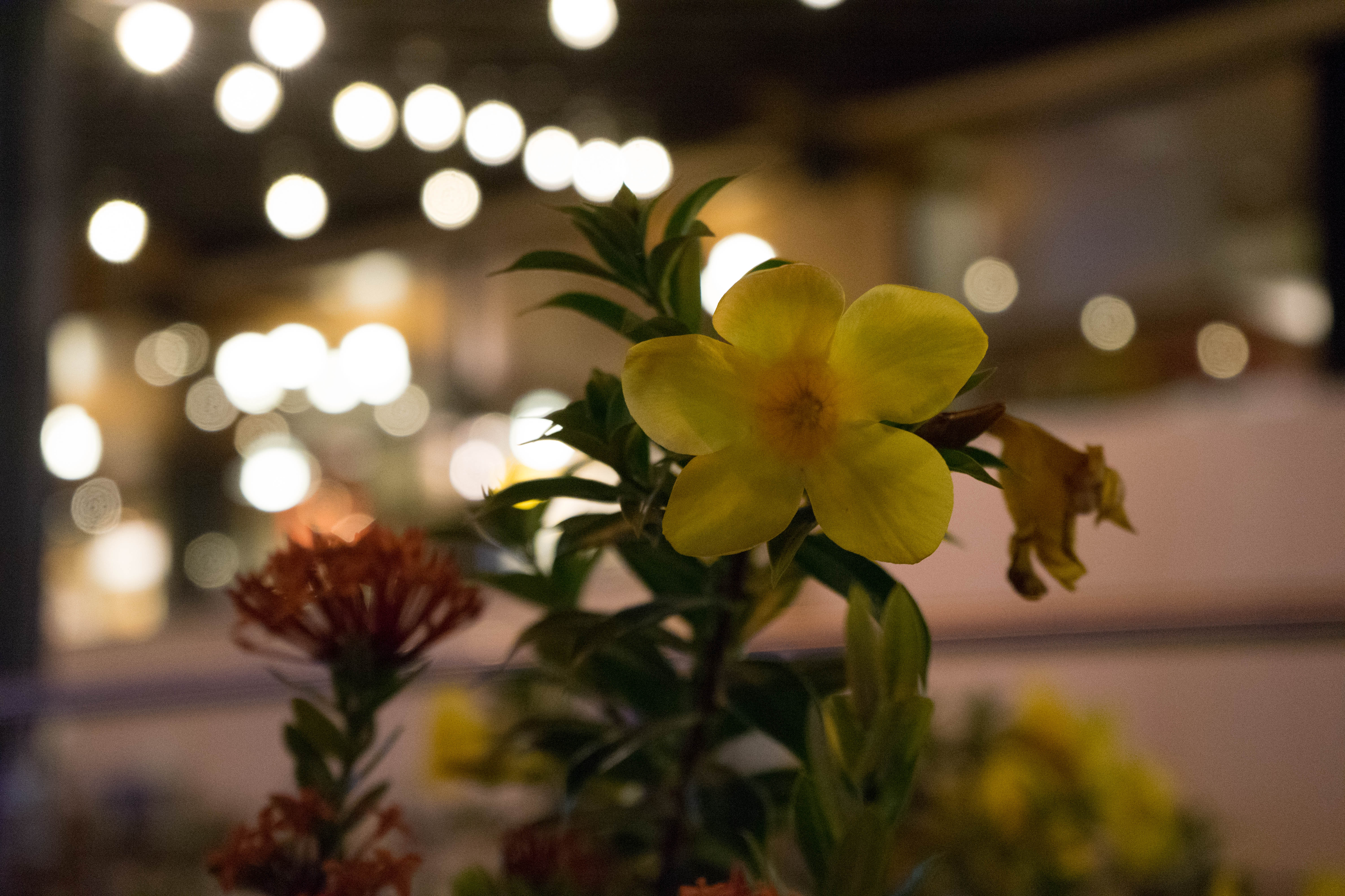 塞班蜜月旅游照,塞班岛蜜月自由行攻略