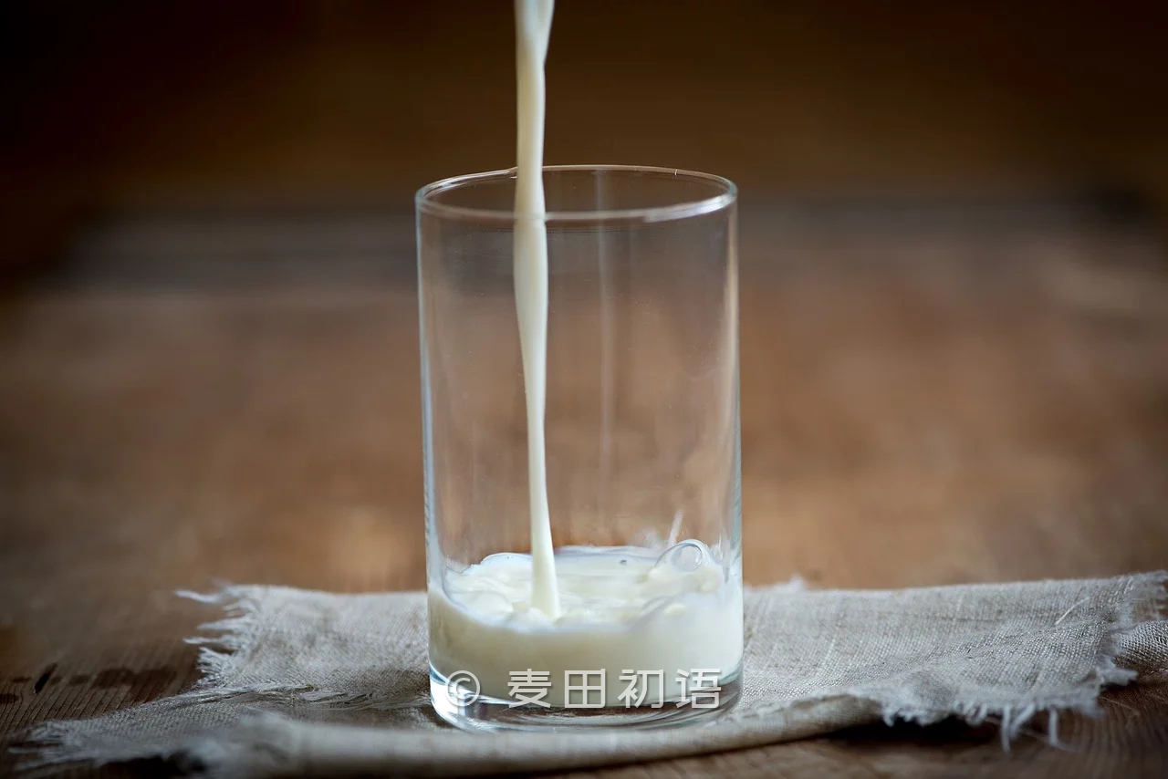 小麦面粉做面包教程,烘焙入门用什么高筋面粉