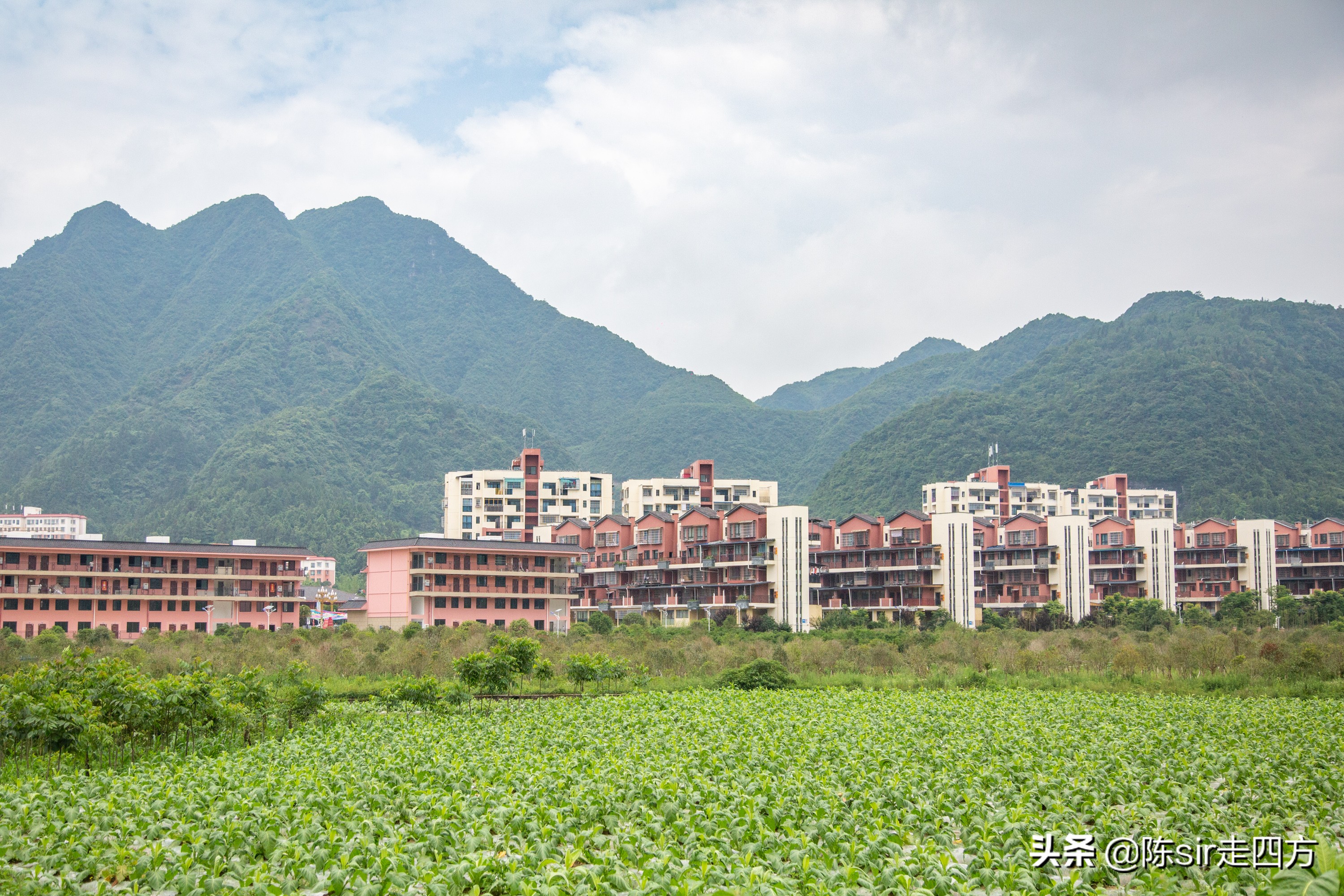 重庆到桐梓自驾游攻略路线,重庆到贵州桐梓三日游最佳路线图