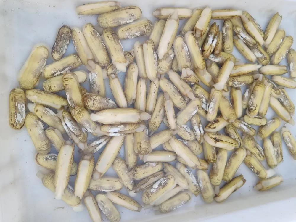 二月份威海海鲜价格,威海海鲜价格实时查询系统