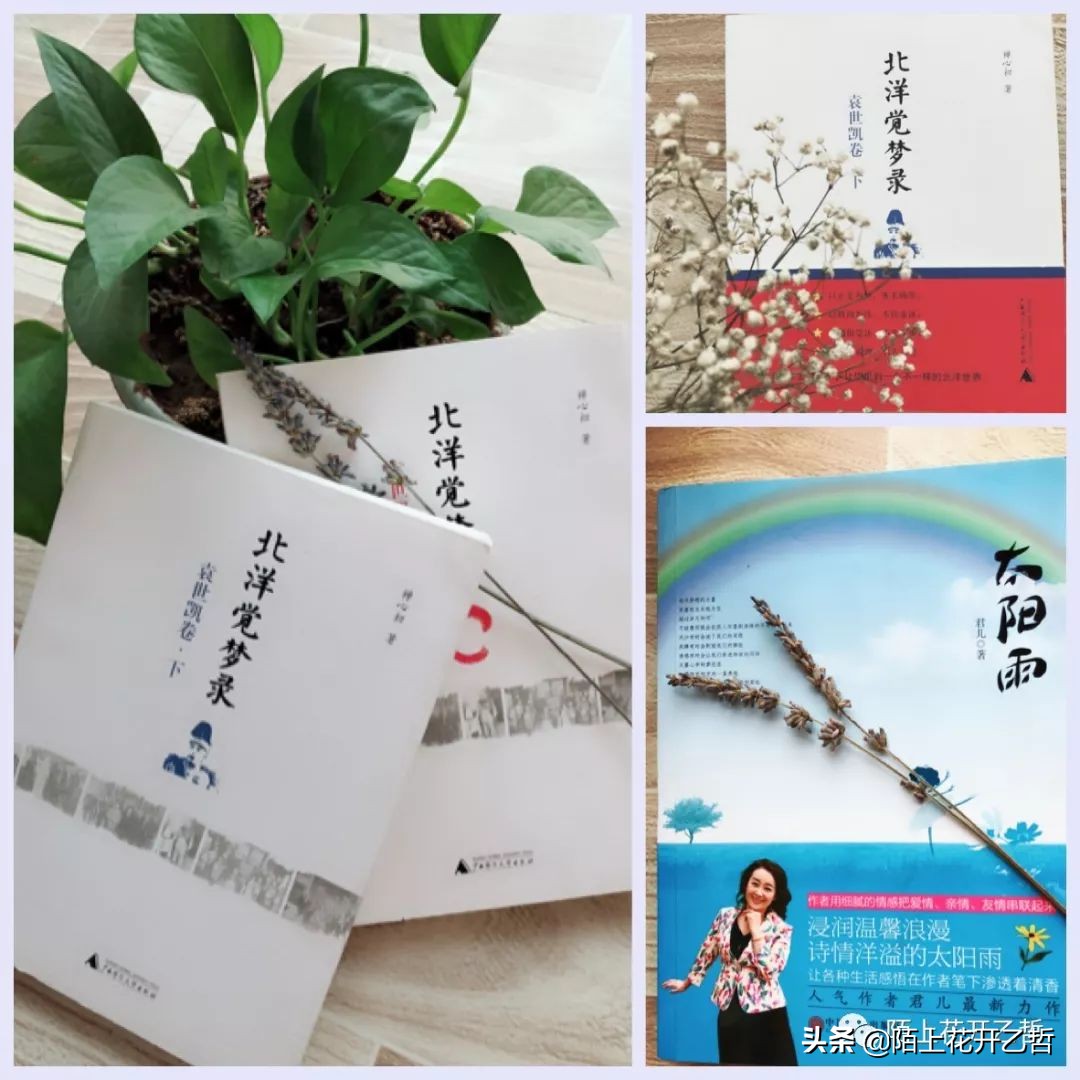 云中谁寄锦书来周悦,云中谁寄锦书来沈鱼