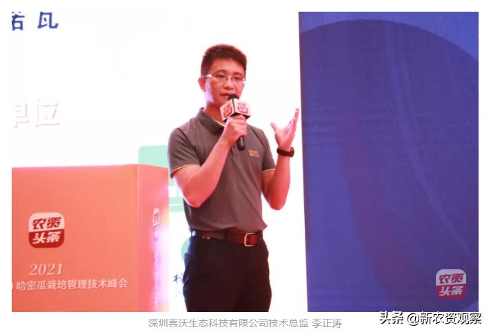 海南哈密瓜大市场,海南哈密瓜市场前景