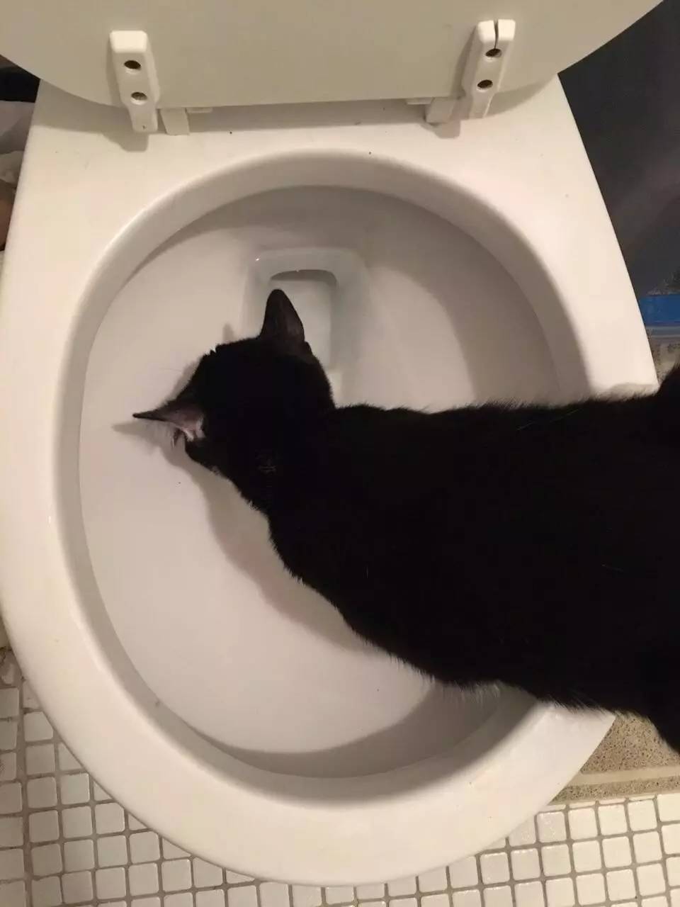 马桶用完要不要盖起来,马桶用完需要马上清洗吗