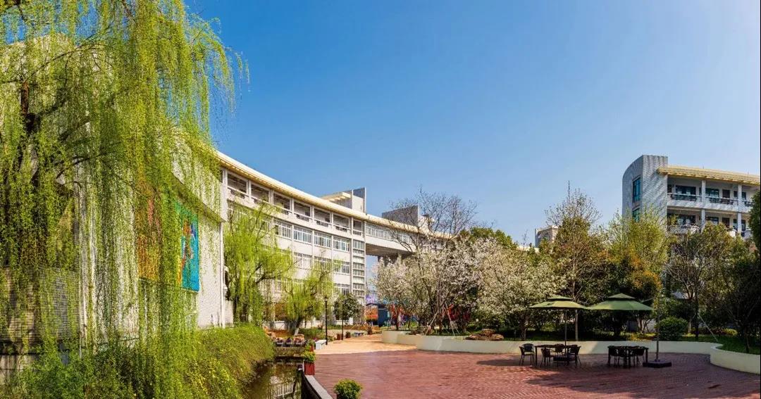 杭二中一段上线率,杭州高中一段上线率