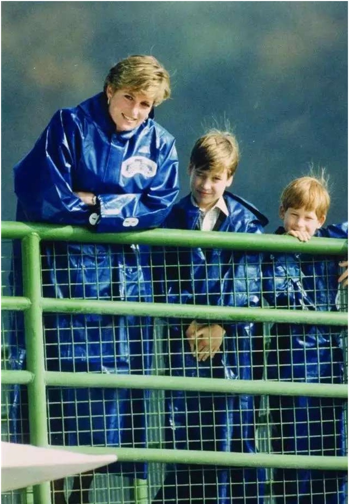 梅根和哈里的这种巨大反差,梅根哈里命运预测