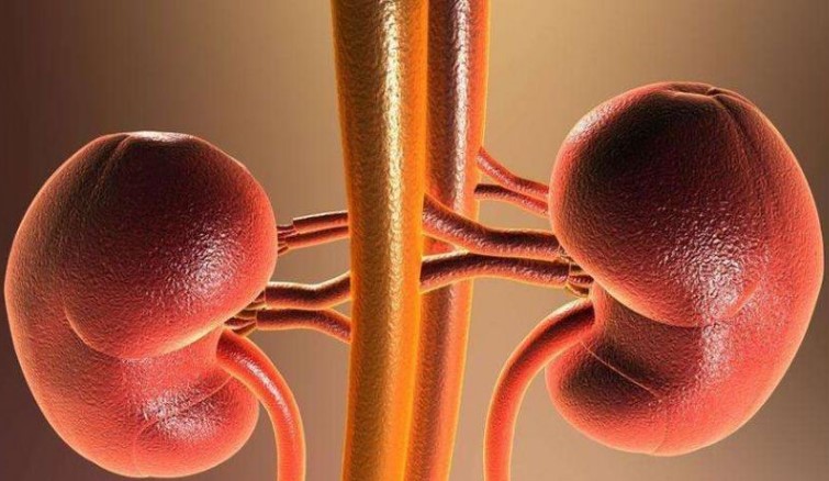 肾虚腰疼最常见的症状,肾虚腰痛中医也看不好怎么办